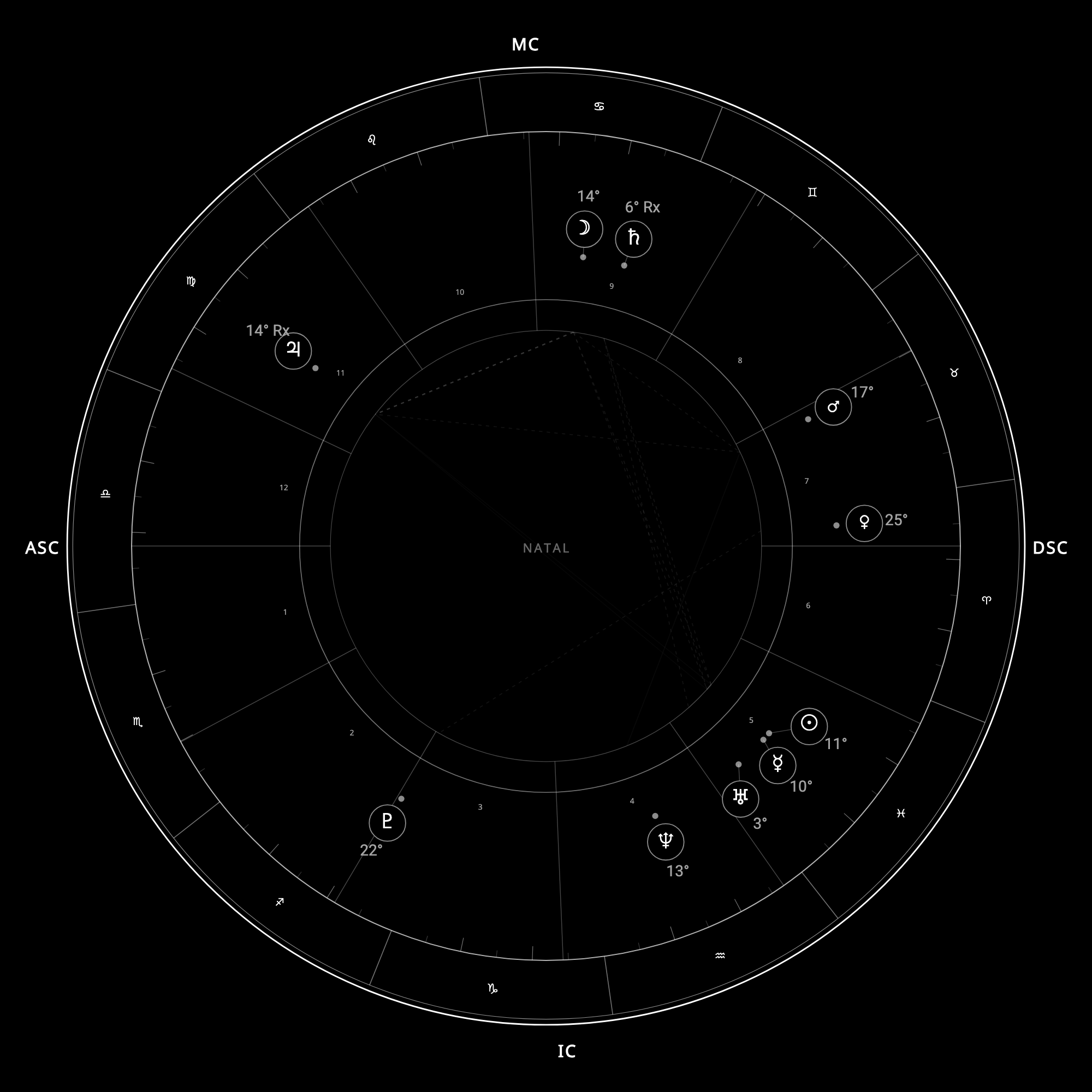 A monochrome natal chart wheel preview from Synastry